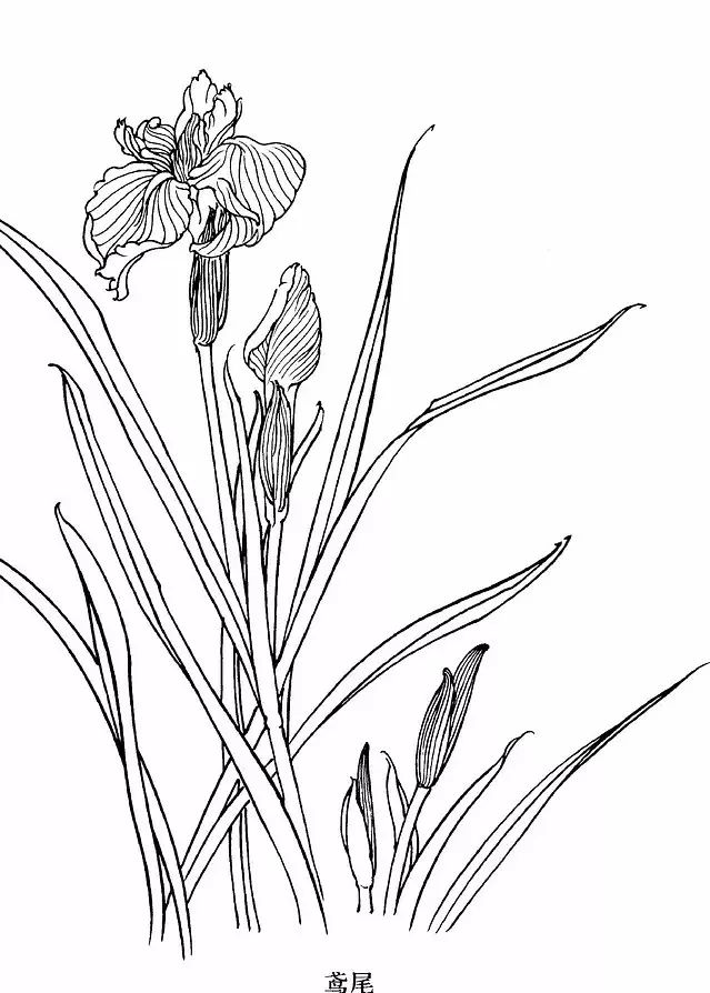 手绘画素材书,100张手绘素材图片