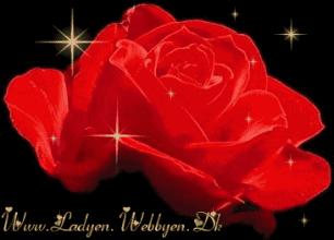 520祝福语表达爱意句句温馨美好,520祝福语送给最在乎的人