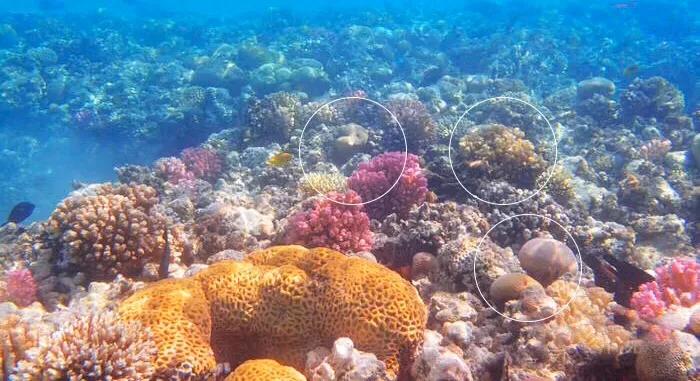 每天都要与大海亲密接触,夏天就应该和大海亲密接触