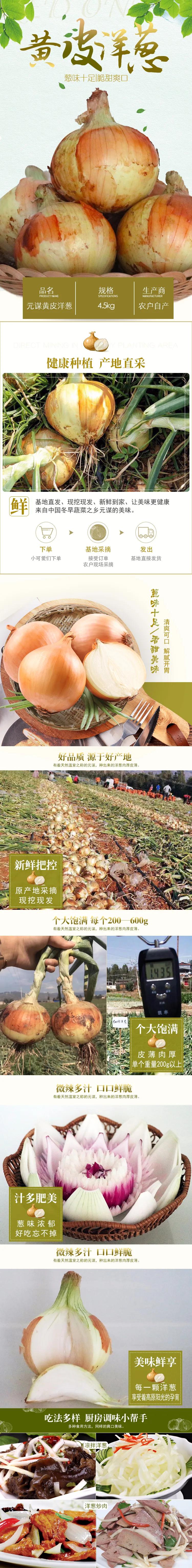 “太大了,立马下锅!”元谋出口级黄皮洋葱已到货,25万吨滞销洋葱等你来拼单!