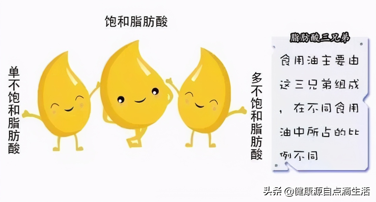 减肥期间一点油都不能碰吗,不吃油最好的减肥方法