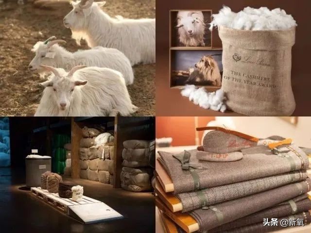 gucci奢侈品套路,奢侈品的残酷真相