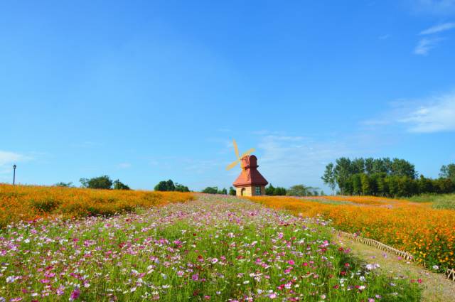 周末休闲好去处这些地方不能错过,7月初浙江好去处推荐