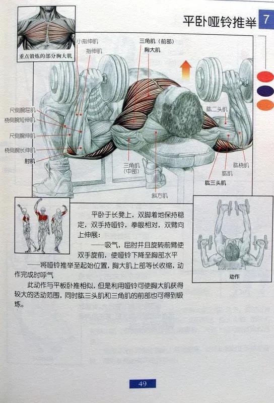 男士健身燃脂操30分钟完整版,健身房健身计划一周表男士增肌