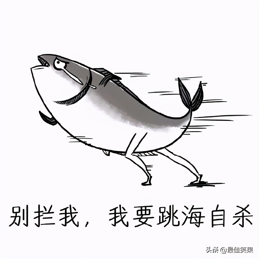 苹果手机掉进厕所里没事吧,苹果手机掉进厕所还值得修吗