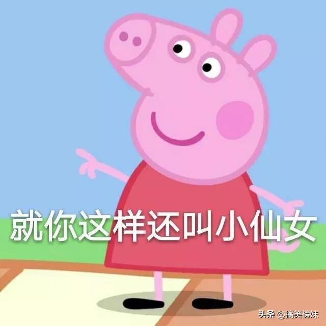 一个人一个猪的表情包,怎么才可以获得小猪佩奇表情包呢