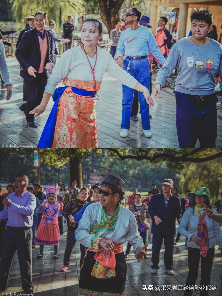 冬季到昆明来看红嘴鸥,冬天去昆明翠湖公园观看海鸥