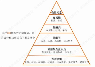 希芸鲨烷精纯芦荟胶,希芸菁纯芦荟胶测评