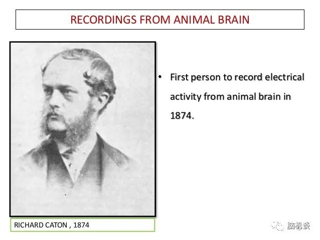 ​《脑机往事（3）—维达尔的秘密》