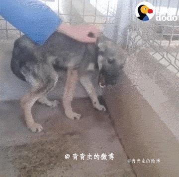 搞笑gif开心一刻我受了太多的委屈,开心一刻搞笑gif图