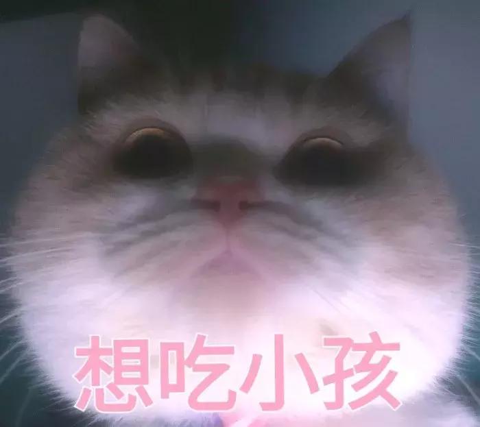 养了三年的猫突然想攻击我,养了两年的猫对我特别防备