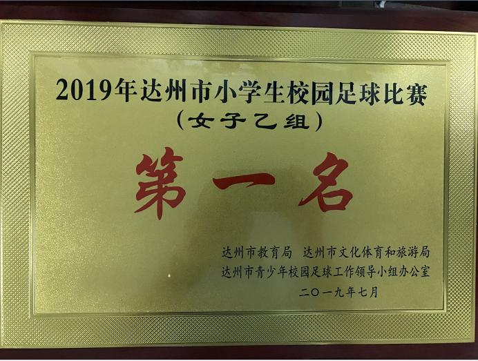 达川区足球比赛冠军是谁,达川区逸夫小学杨柳学校班级联赛