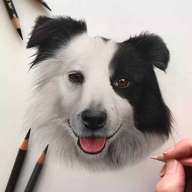 彩铅如何画得非常细腻,彩铅画的很好看零基础