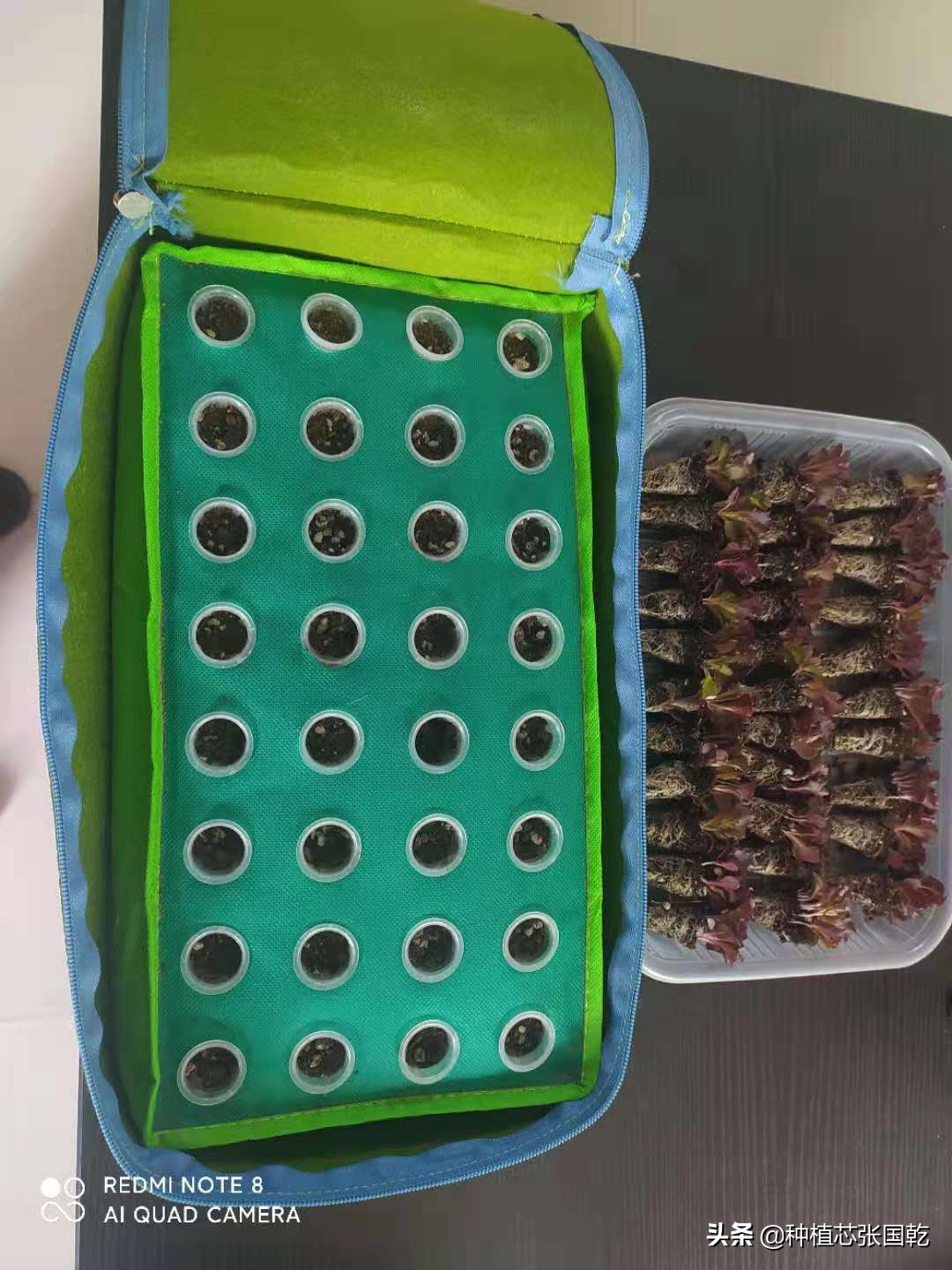 智慧农业创新创业大赛项目推荐,农业创新创业案例分享