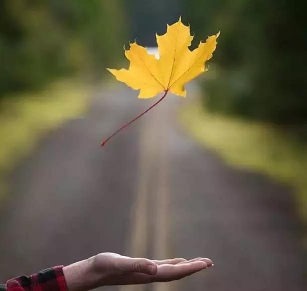 准备出国发现护照丢了,出国护照丢了最快回国办法
