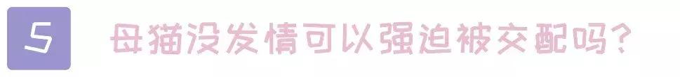 关于猫的100个冷知识和方法,3-6岁动物冷知识