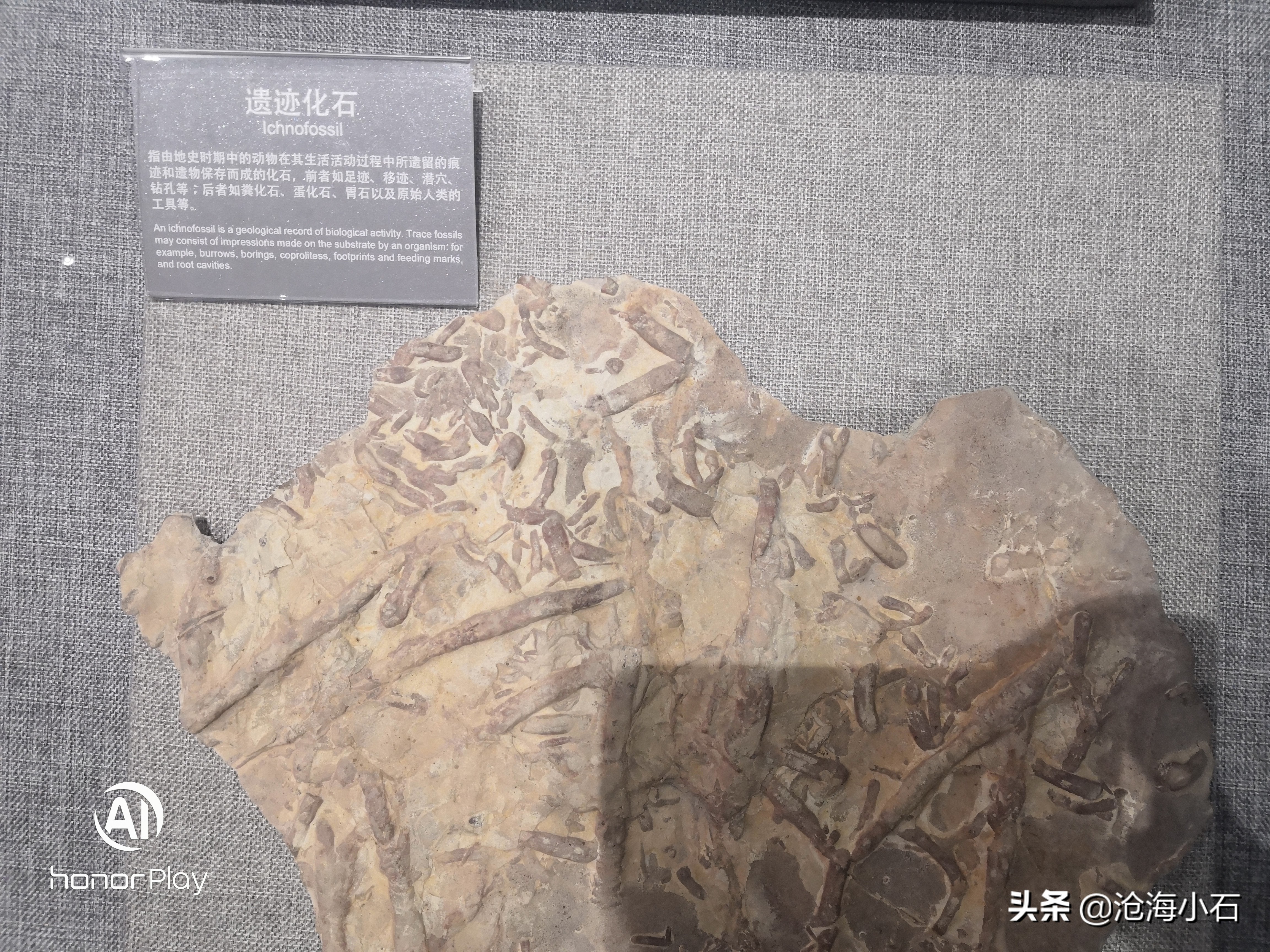 哪些石头不能随便带走,哪些石头不能捡回家