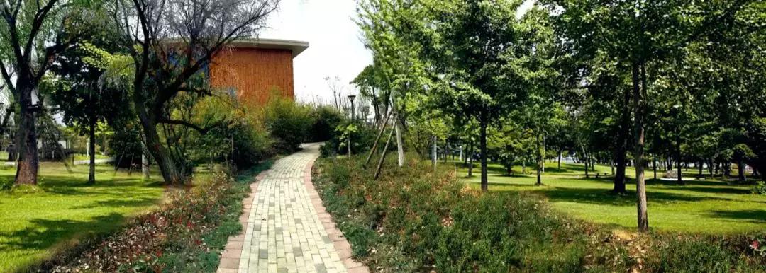 武汉一路向前,武汉一路向北江汉路