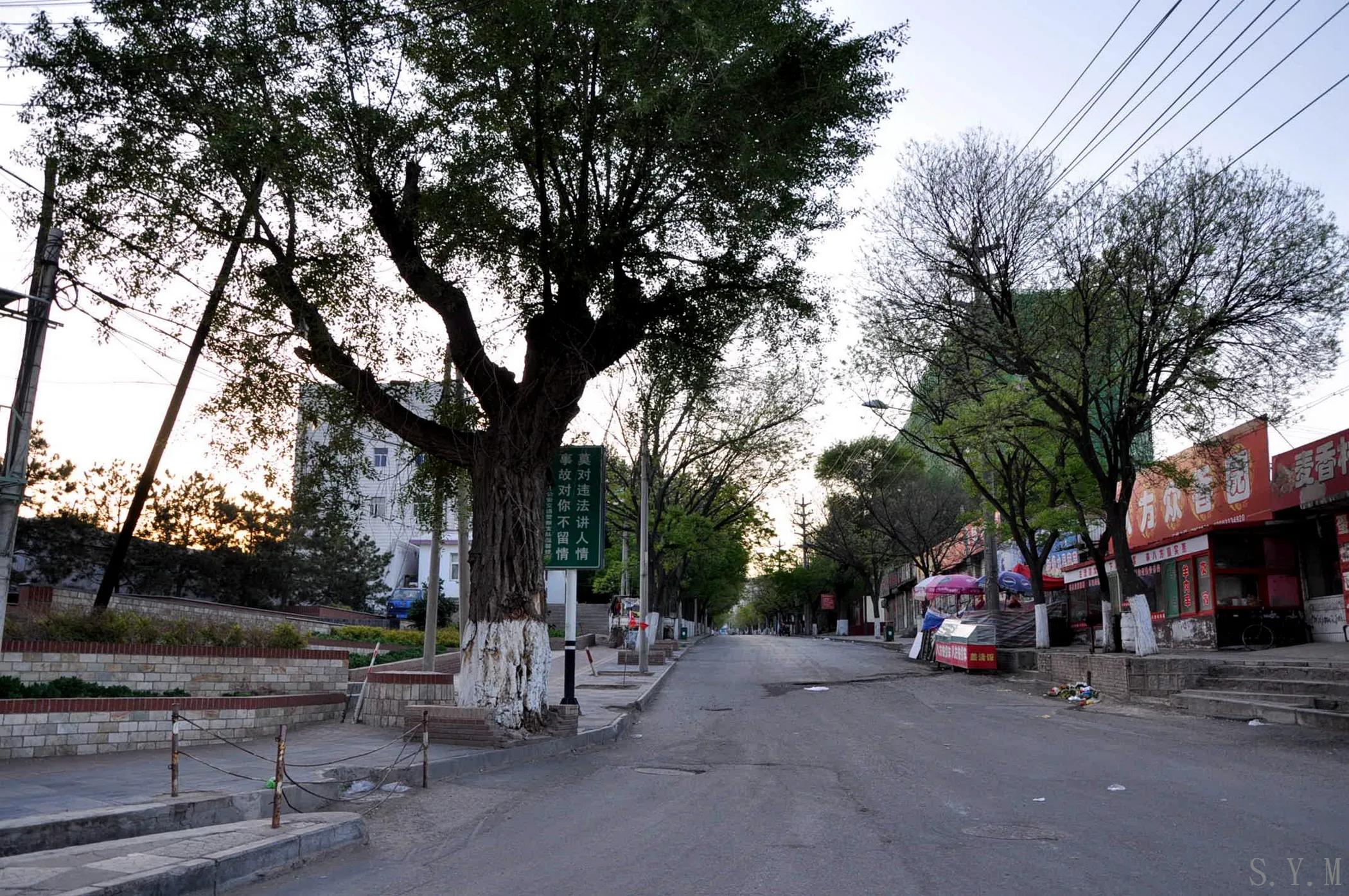 张家口年前的头条,张家口头条视频今年