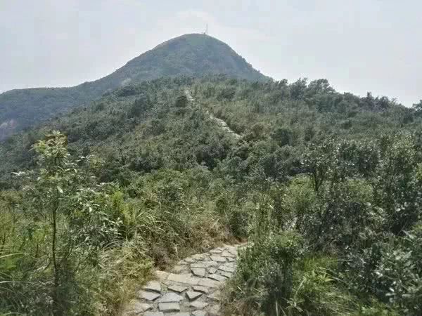 深圳爬山的好去处,深圳爬山地方推荐适合小朋友