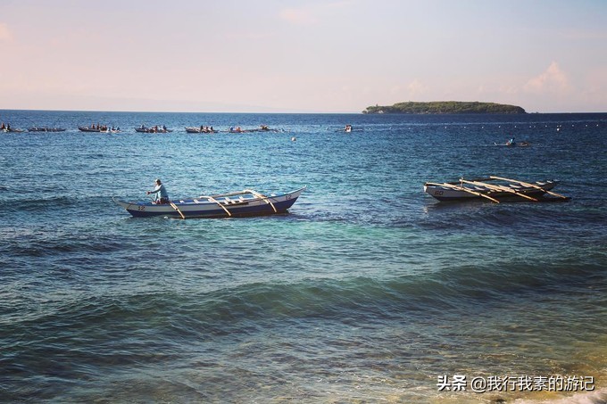 想去看鲸鲨？这里可以满足你