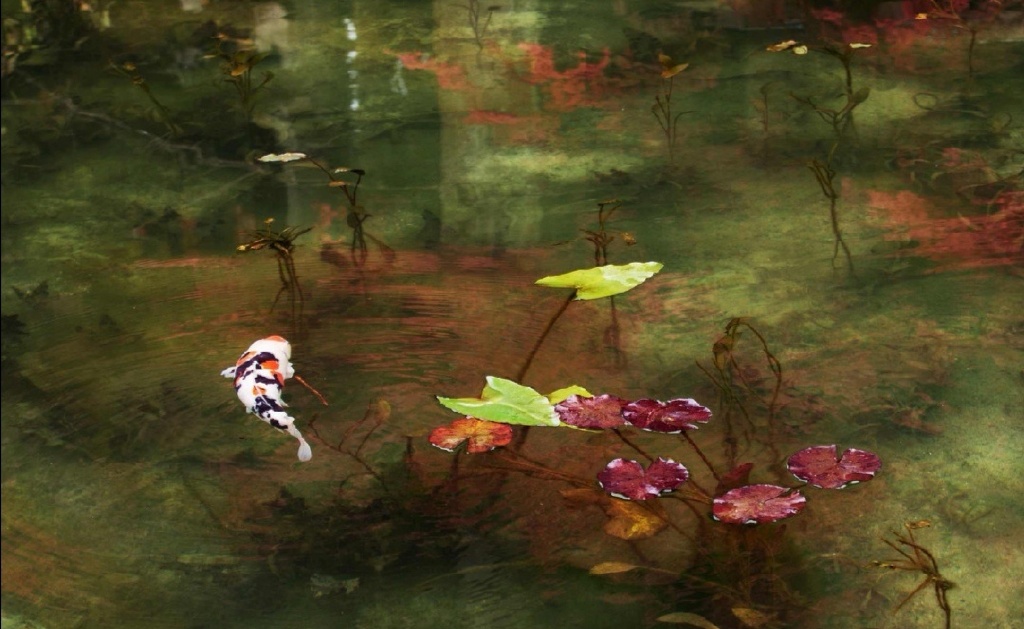 托福口语考试中的高频短语精选,雅思托福口语话题答题技巧