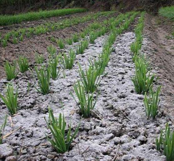 古人对矿物的运用,古人对农田的利用