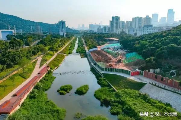 深圳最值得免费去的十大景点,深圳有哪些地方是免费景点