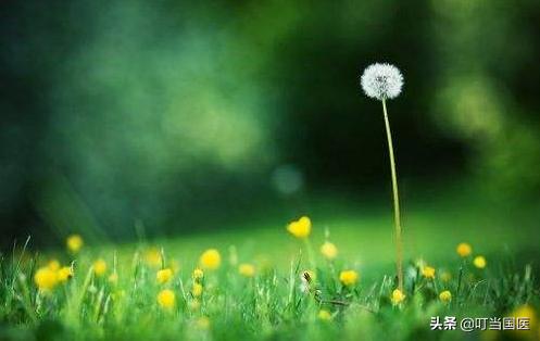 叮当国医堂,叮当国医门诊部在哪里