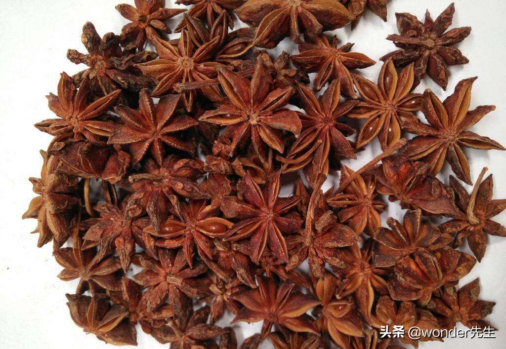 洋茴香和安息茴香是什么？组方高手怎么善用大小茴香