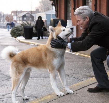 世界上一百种狗的图片,世界十种名贵狗