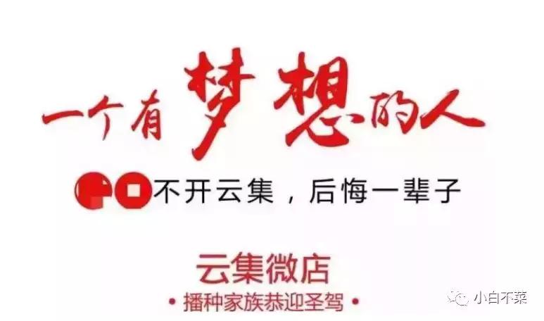 云集市值缩水8成故事,云集上市后首次大促数据亮眼