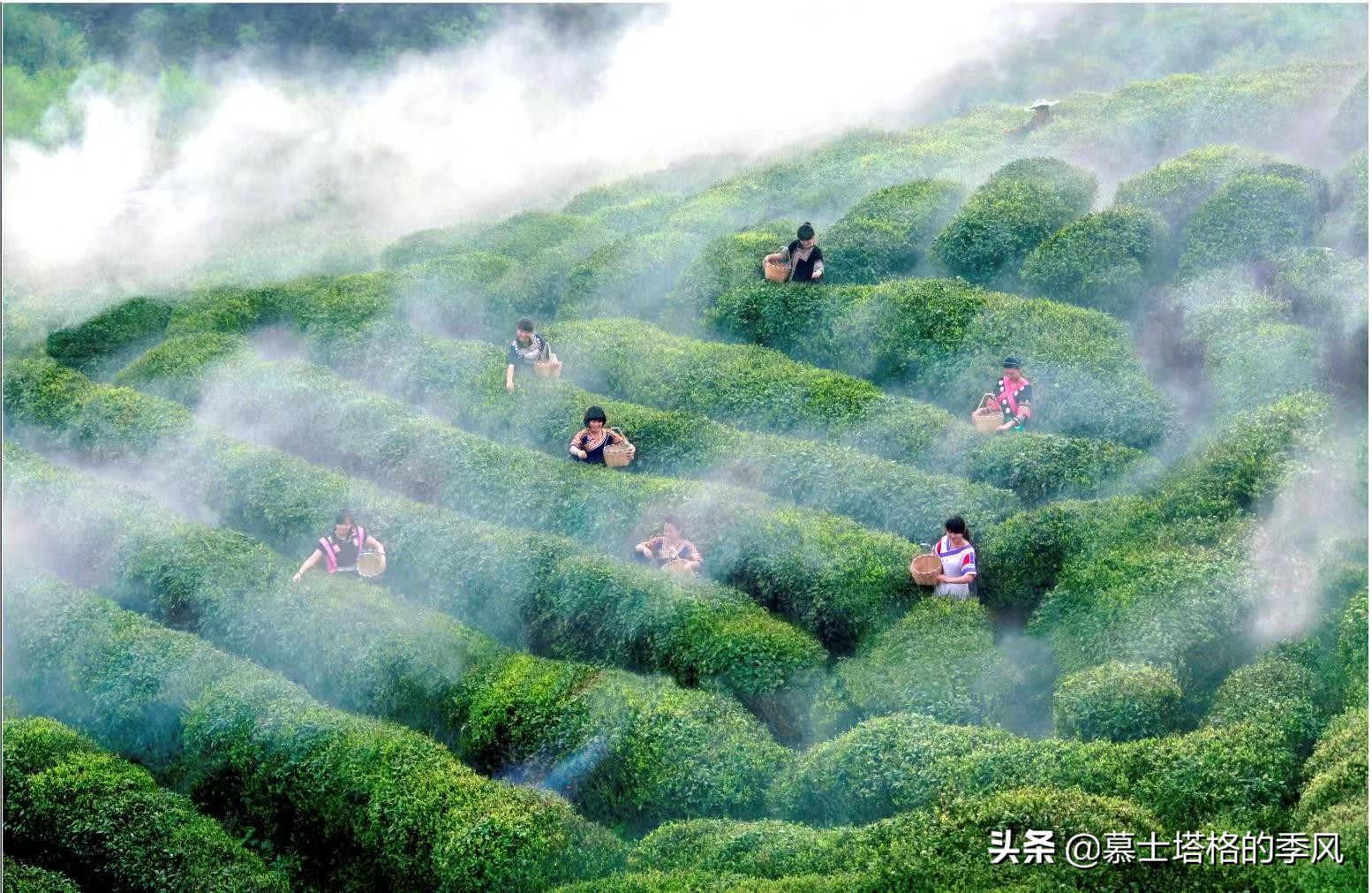 贵州适合养老的小城,贵州哪个城市最适合养老居住