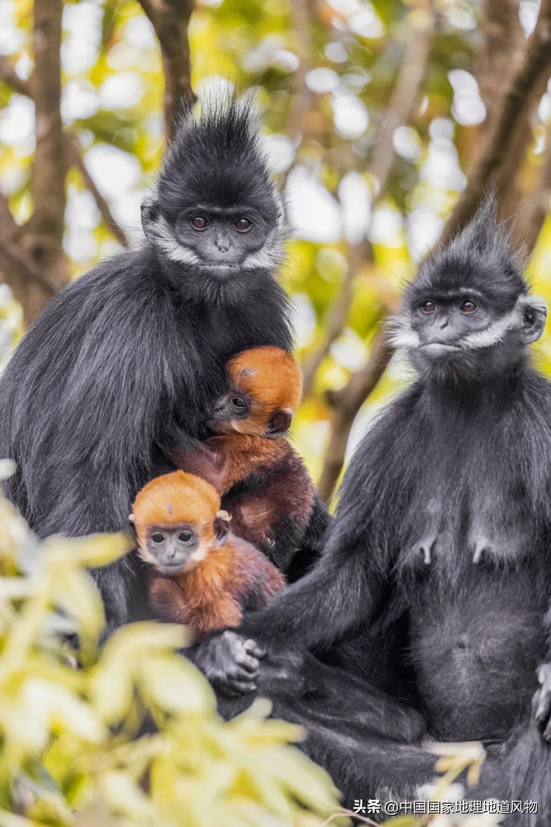 中国凉都六盘水完整视频,中国凉都六盘水气候宜人