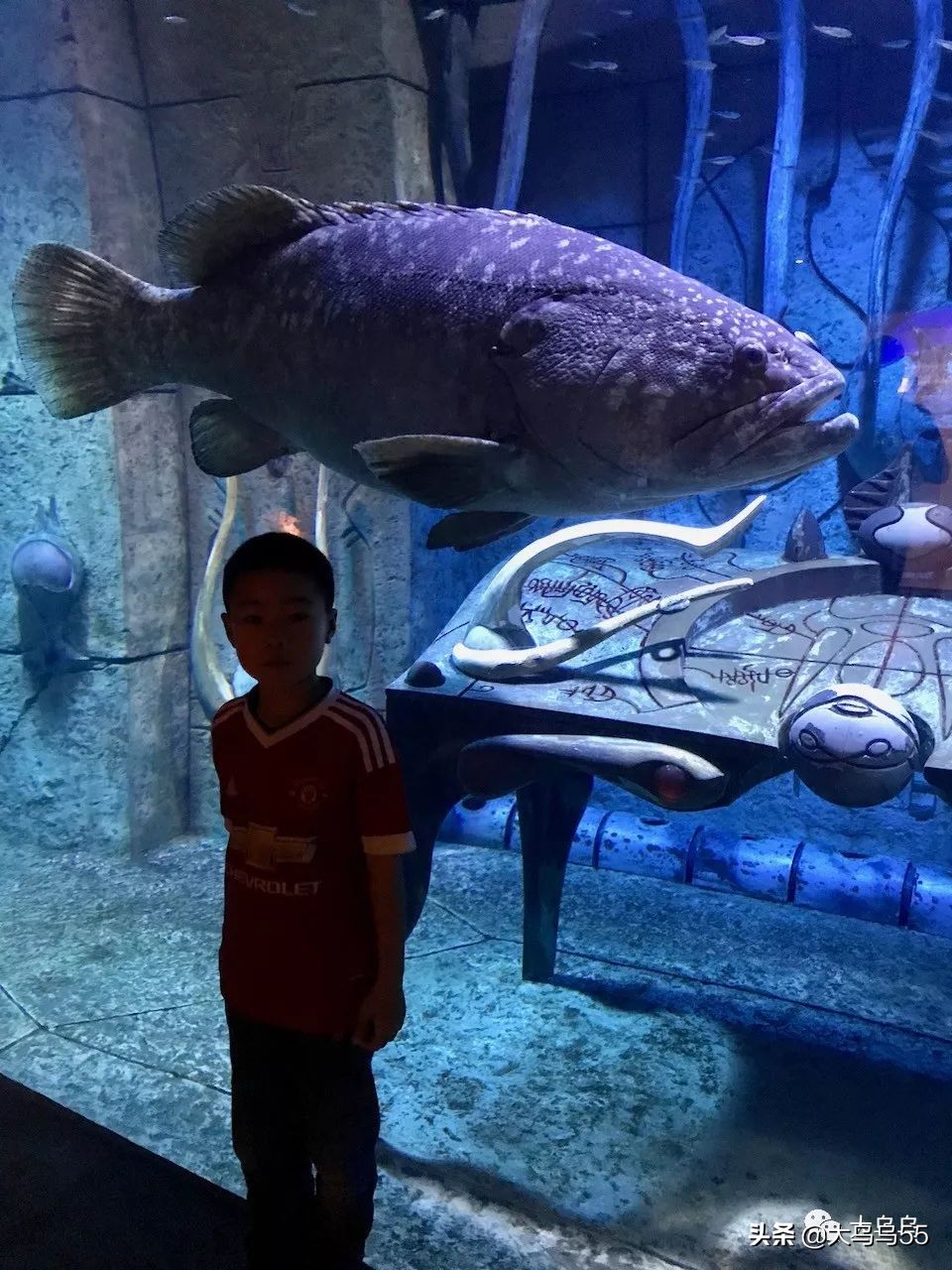 全球旅行迪拜游,迪拜菜鸟出国游