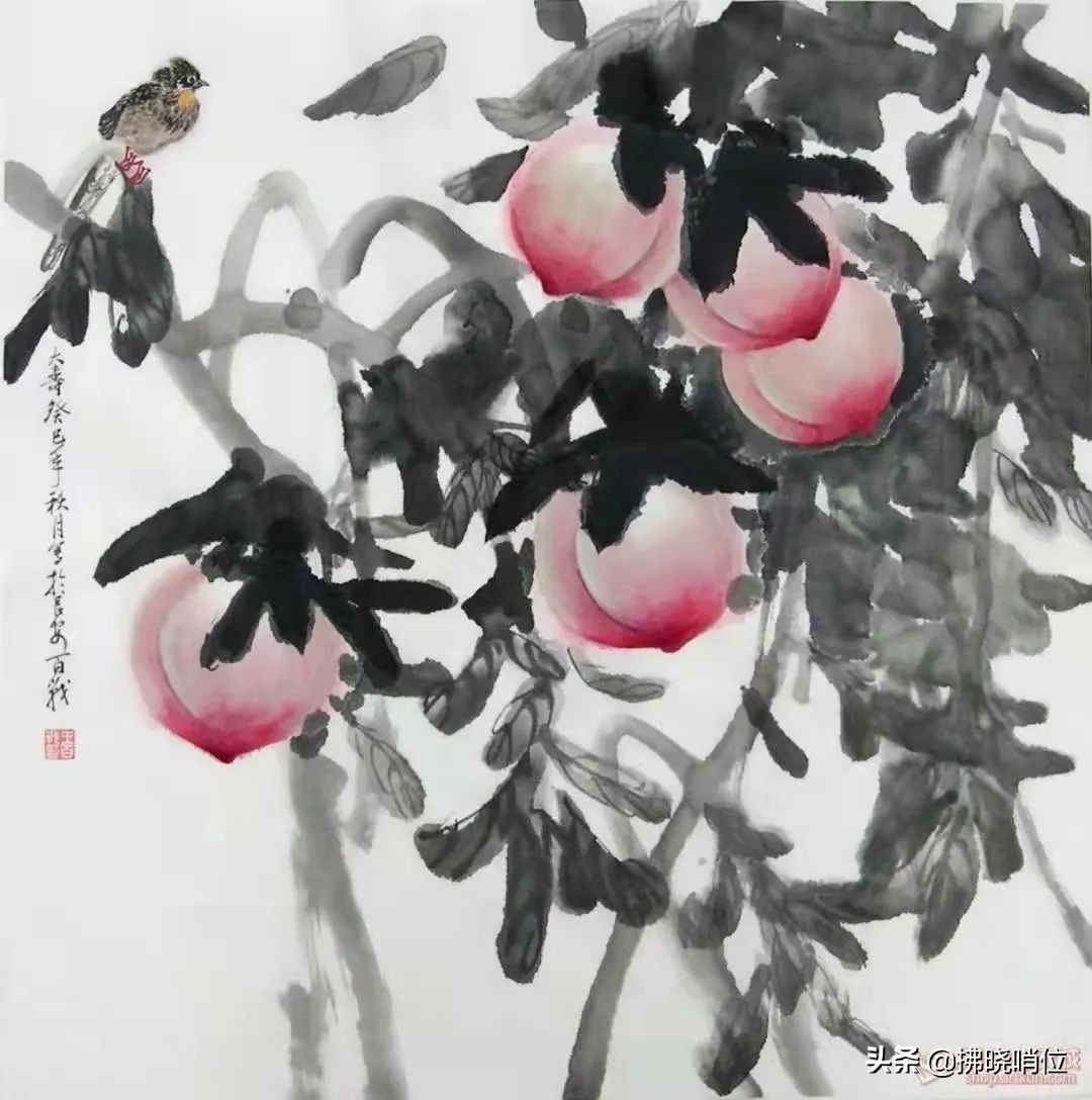 拂晓文学作品的图片,拂晓文艺