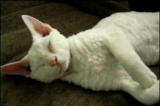 一级警告，你女朋友来大姨妈了