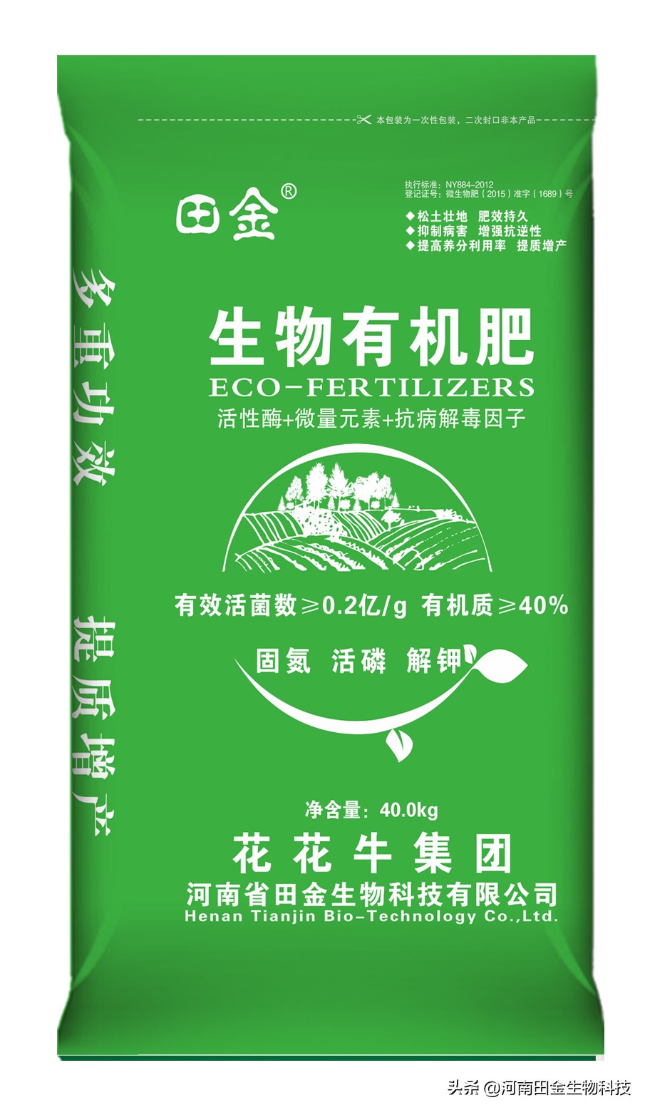 商麦1号选育报告