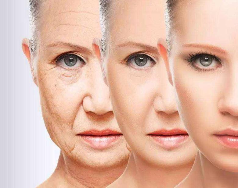 美的贷款是正规吗,美的贷款利率高吗