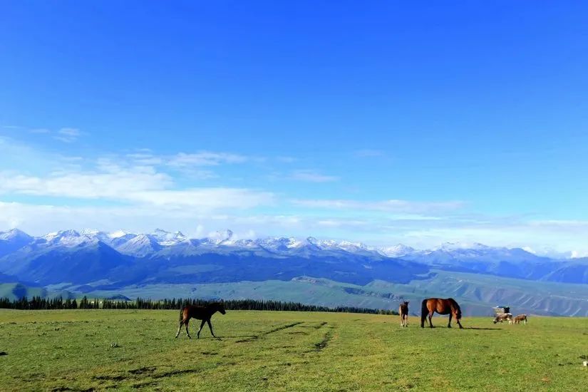 喀拉峻穿越琼库什台几天,喀拉峻穿越琼库什台