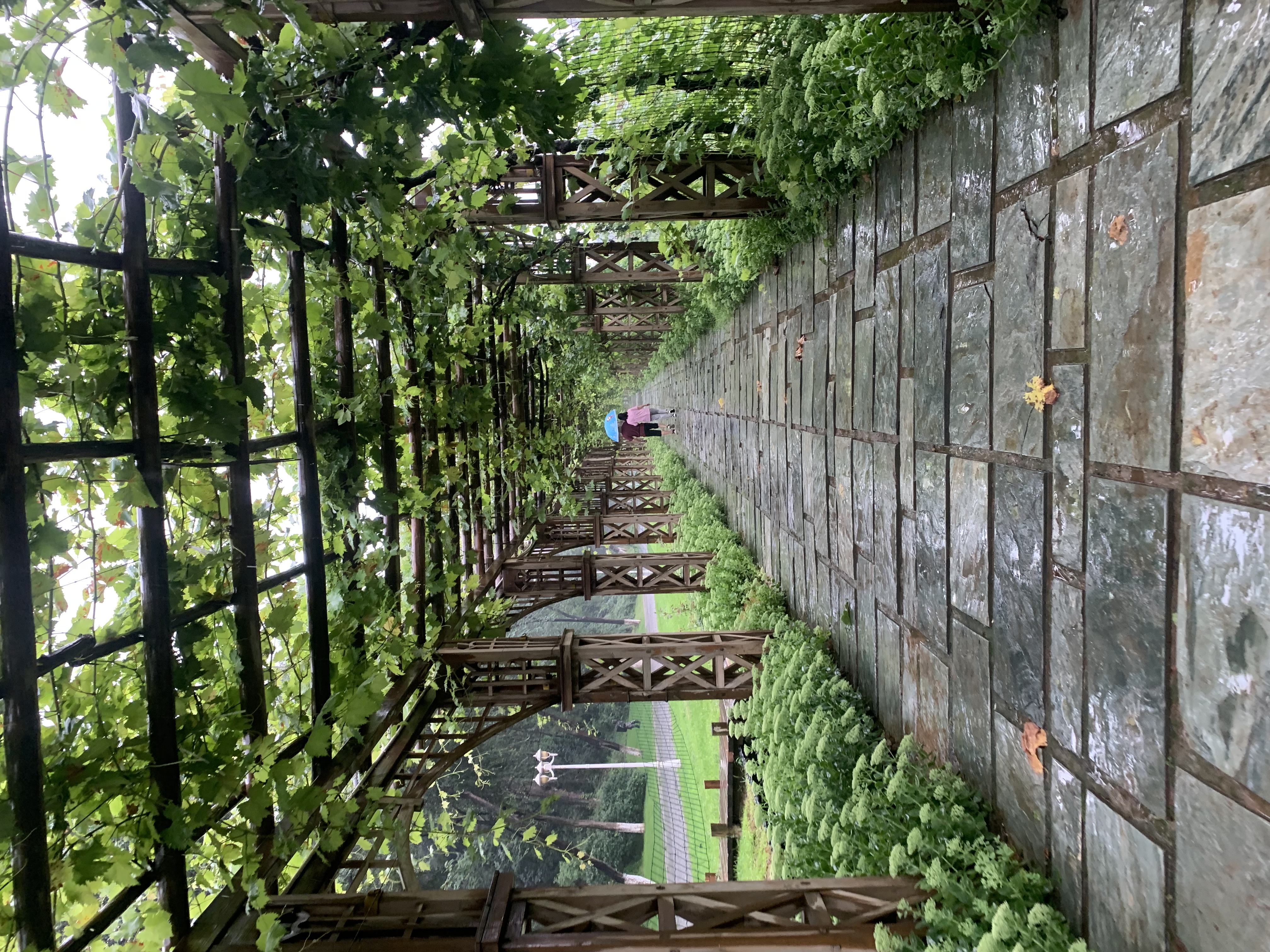 夏日京郊旅游攻略,夏日京郊哪里好玩