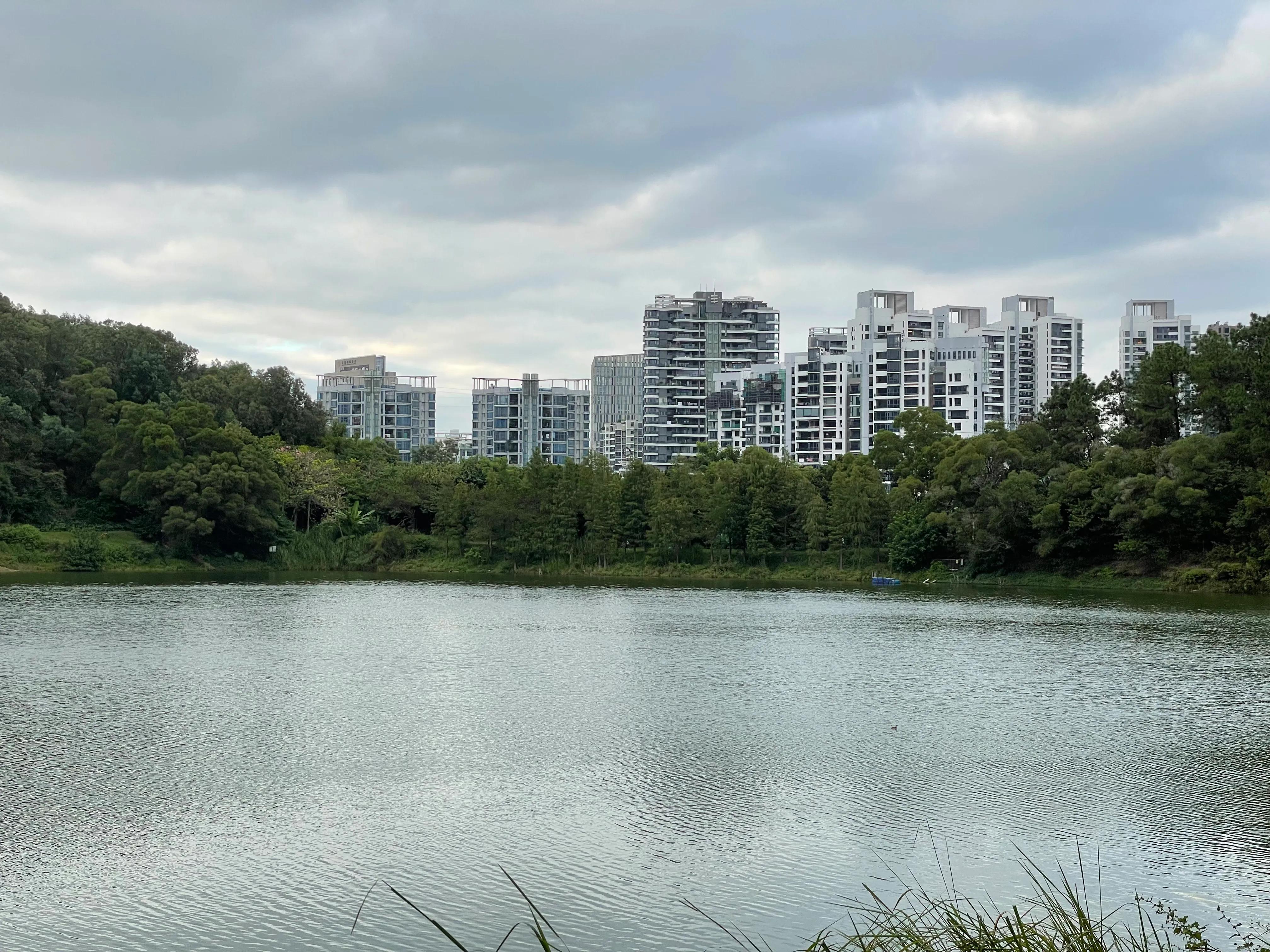 东莞旗峰公园爬山打卡,东莞人的公园