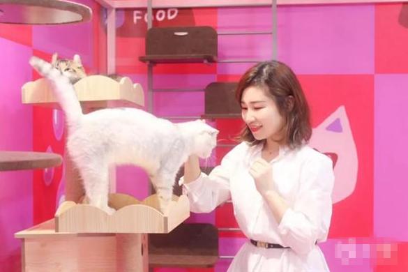 释放压力，减压展2.0-十八项奇葩体验