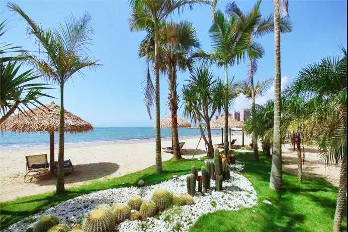 畅游泳池,夏季适合海边游泳的景区