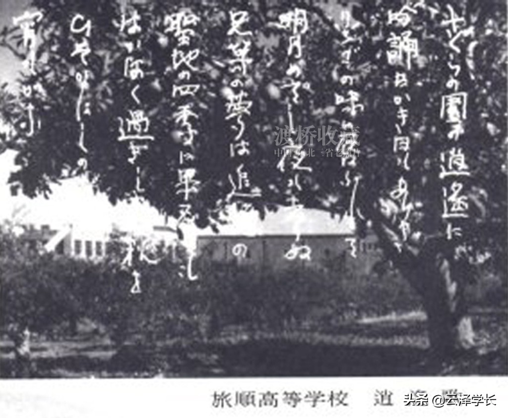 旅顺海军病院,位于旅顺的历史文化建筑