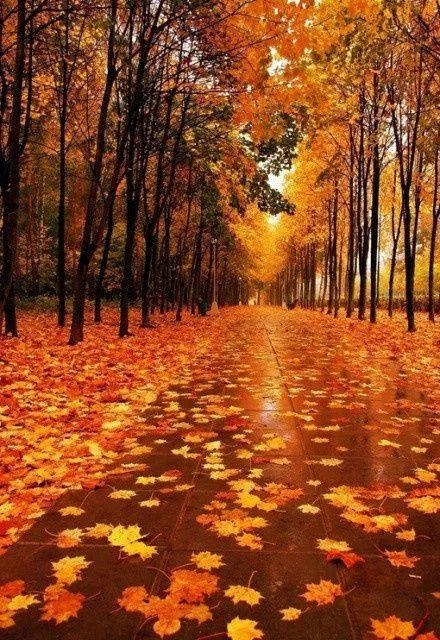 2018民谣歌曲大全100首,2018经典民谣推荐