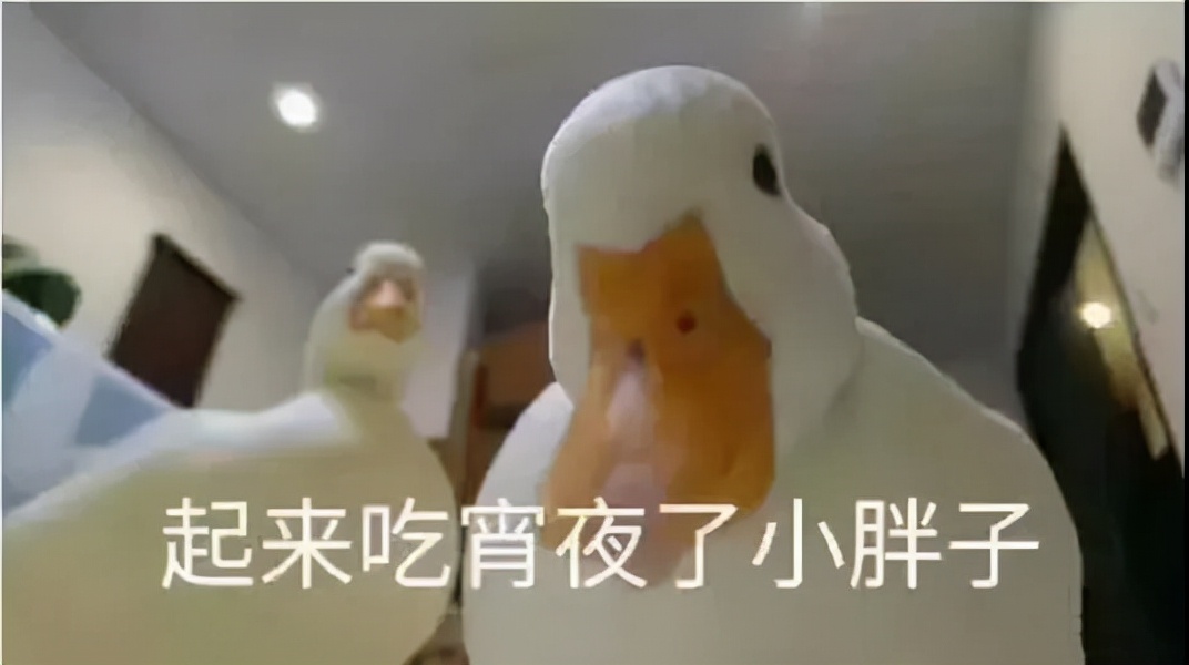 吃夜宵长胖,为什么吃了夜宵反而更容易饿呢