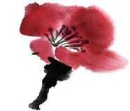 国画梅花上的雪画法步骤教程视频,零基础国画入门画梅花教程