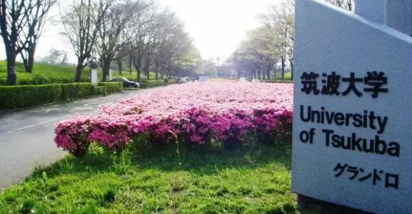 日本筑波大学研究生,追梦队vs日本筑波大学