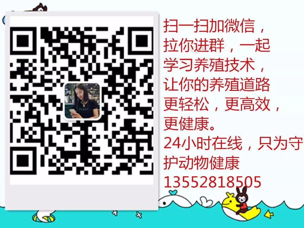 羊腿瘸怎么回事,羊腿瘸了怎么治疗用药